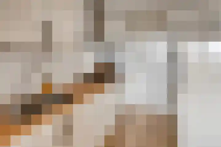 Akeleistraat 65 's-Hertogenbosch thumbnail 5