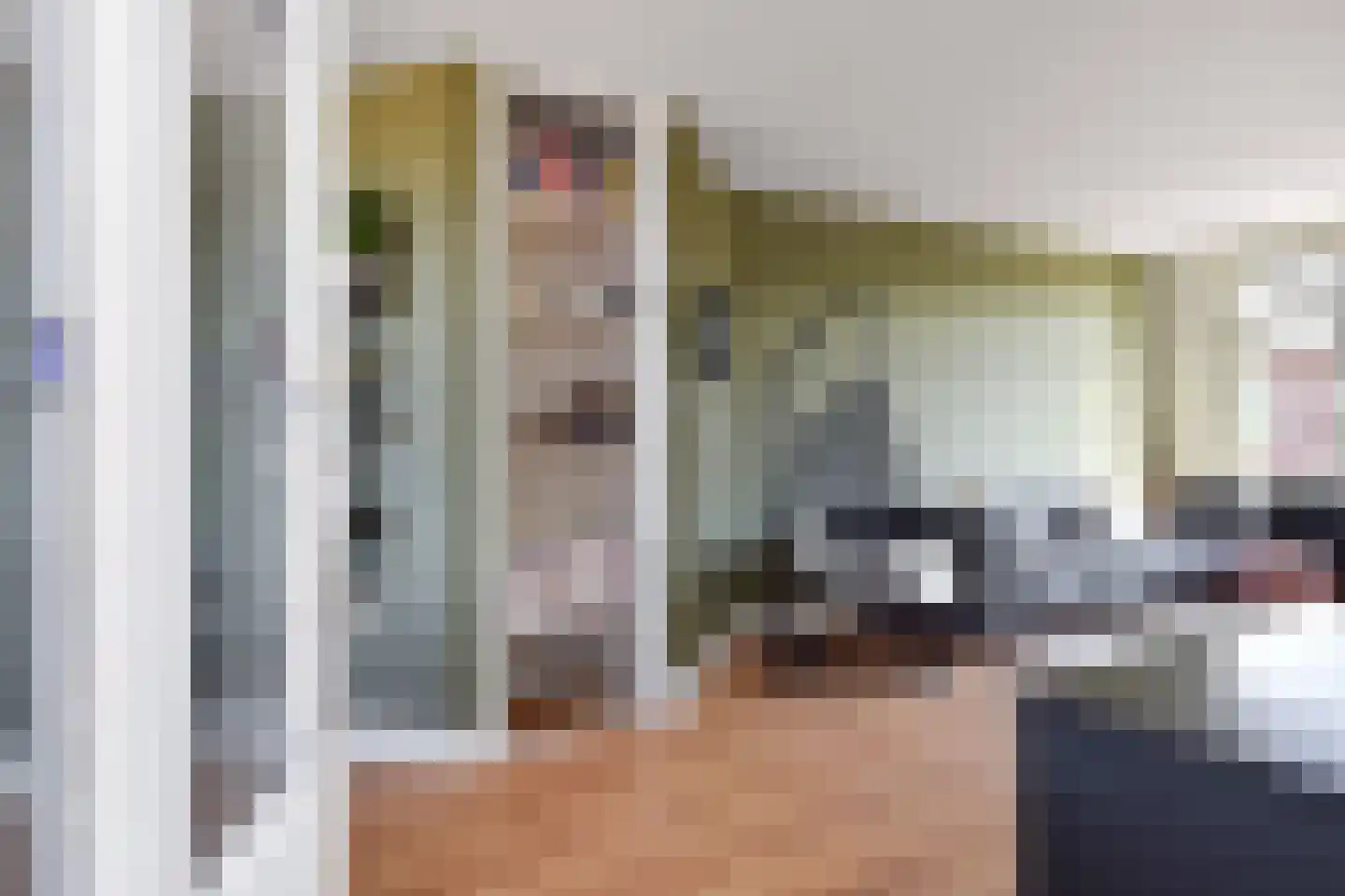 Akeleistraat 7 Den Haag thumbnail 6