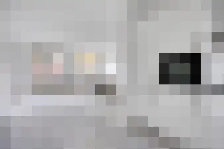 Akeleituin 1 Zoetermeer thumbnail 12
