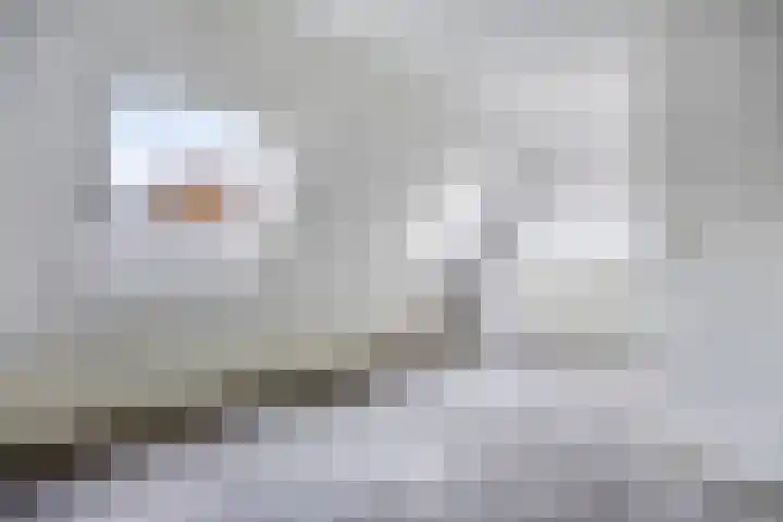 Akeleituin 1 Zoetermeer thumbnail 16