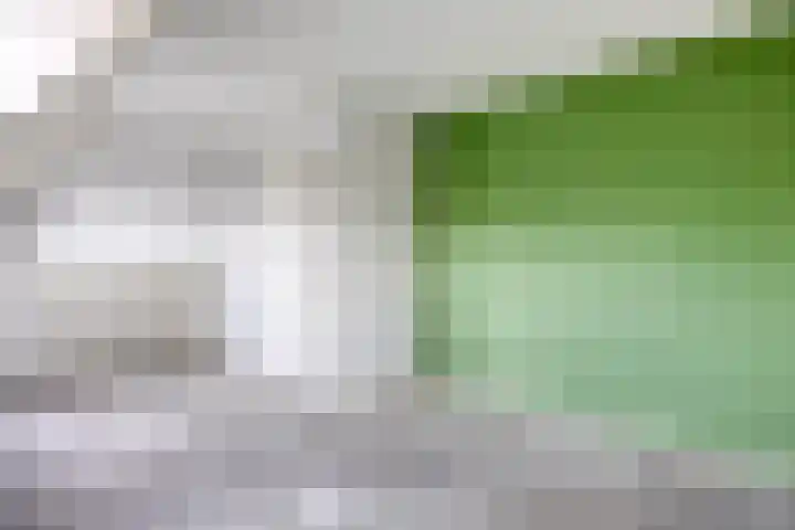 Akeleituin 1 Zoetermeer thumbnail 17