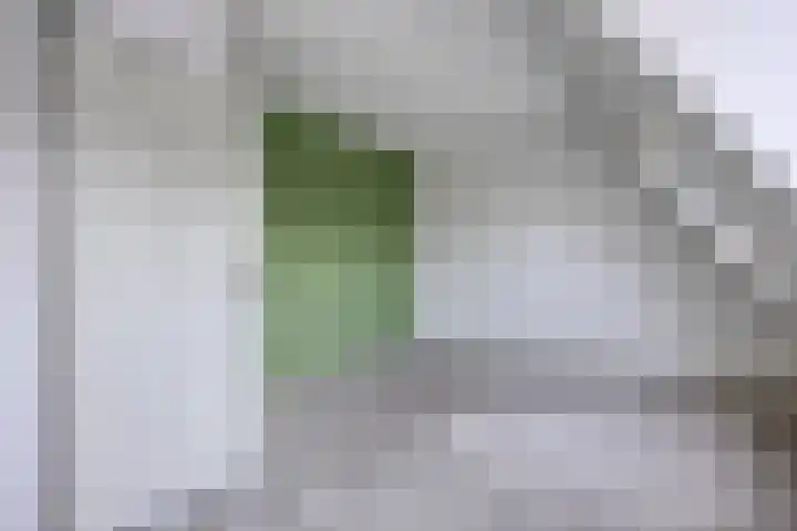 Akeleituin 1 Zoetermeer thumbnail 18