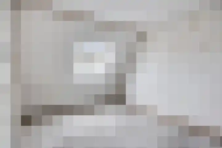 Akeleituin 1 Zoetermeer thumbnail 25