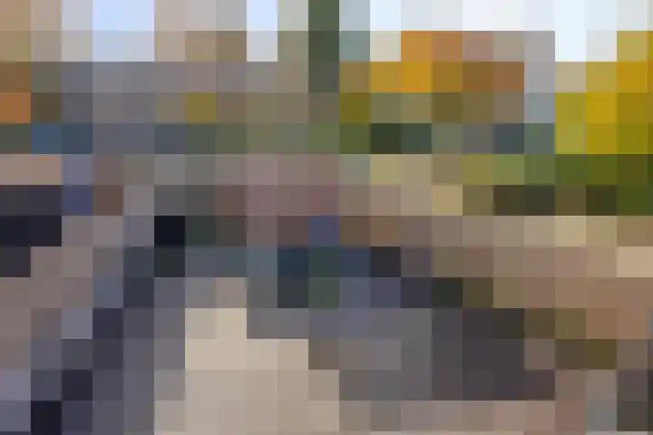 Akeleituin 1 Zoetermeer thumbnail 26