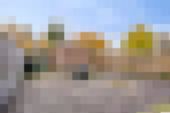 Akeleituin 1 Zoetermeer thumbnail 30