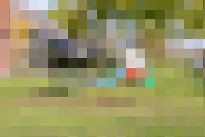 Akeleituin 1 Zoetermeer thumbnail 32