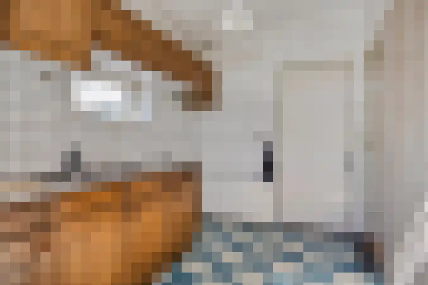 Akeleiweg 12 Zwolle thumbnail 12