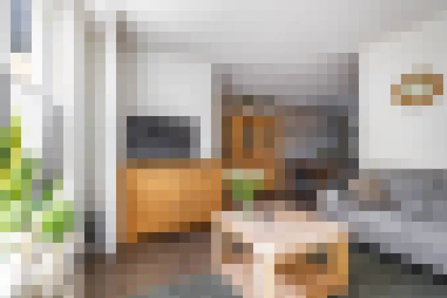 Akeleiweg 134 Groningen thumbnail 14