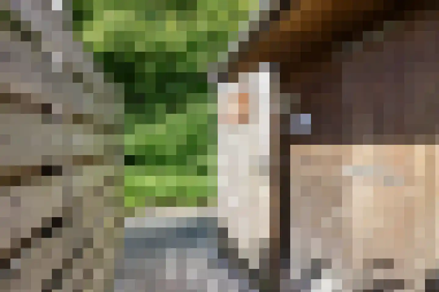 Akeleiweg 134 Groningen thumbnail 29