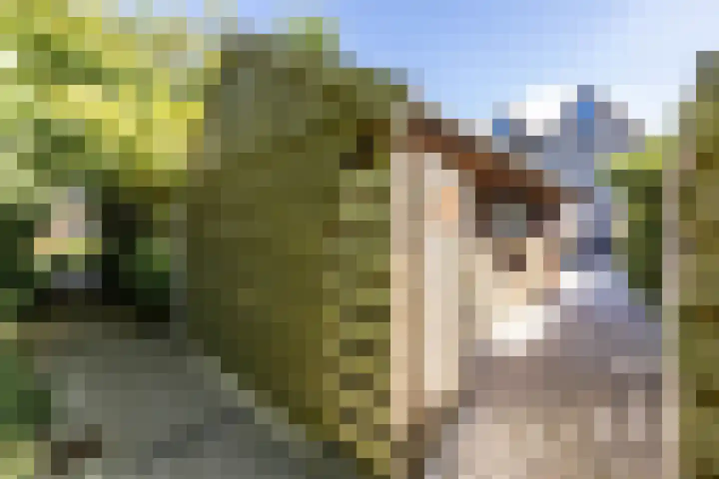Akeleiweg 134 Groningen thumbnail 31