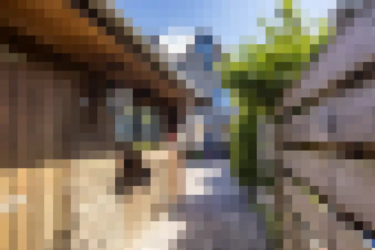 Akeleiweg 134 Groningen thumbnail 32