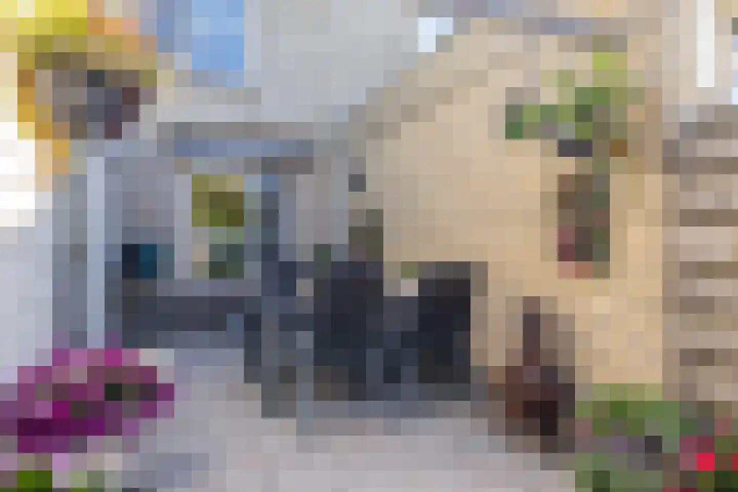 Akeleiweg 134 Groningen thumbnail 36
