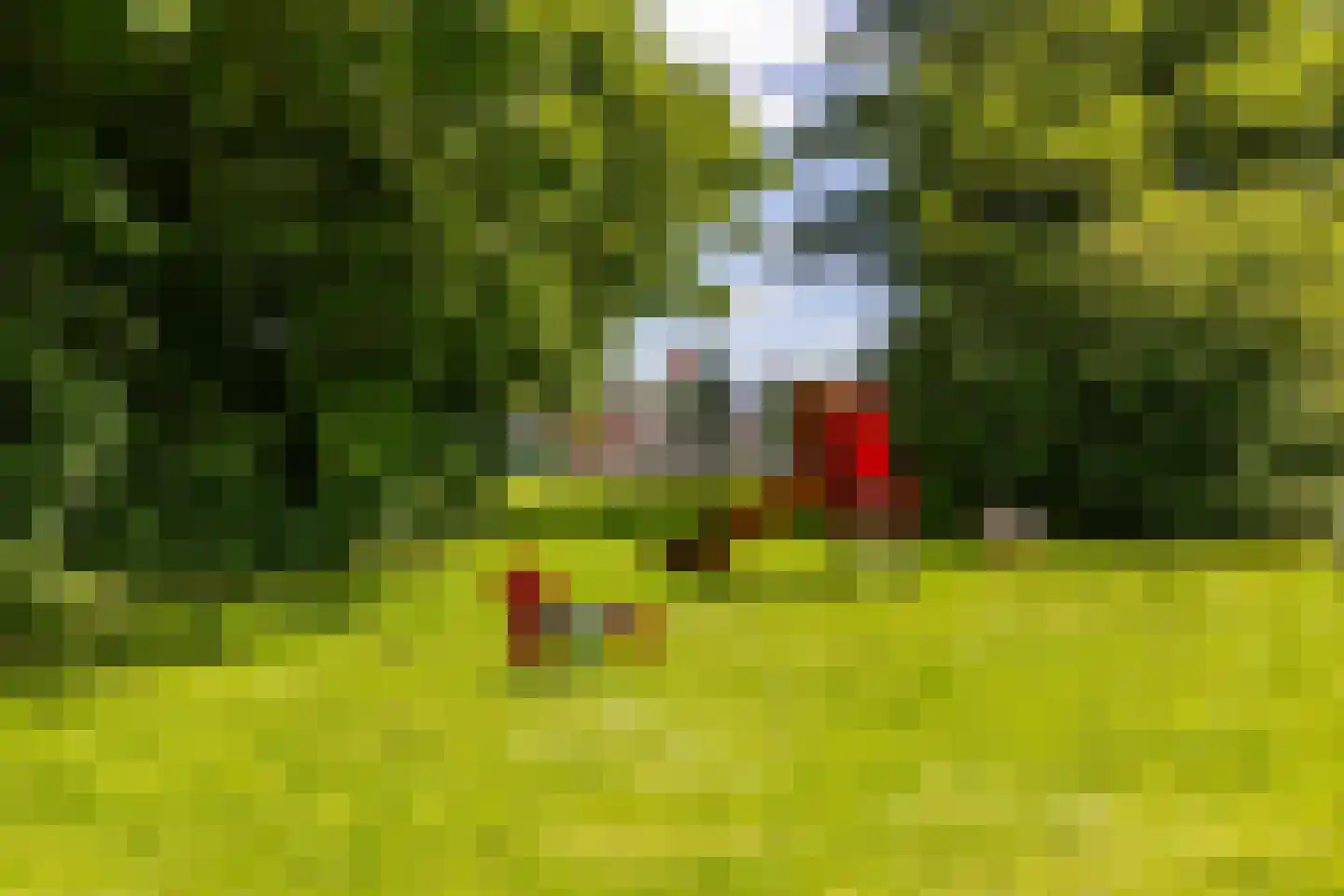 Akeleiweg 134 Groningen thumbnail 62