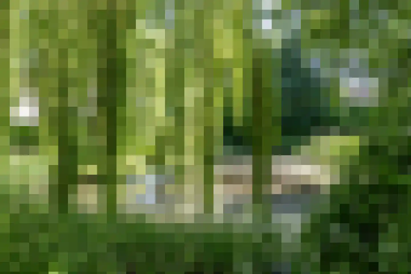 Akeleiweg 134 Groningen thumbnail 64