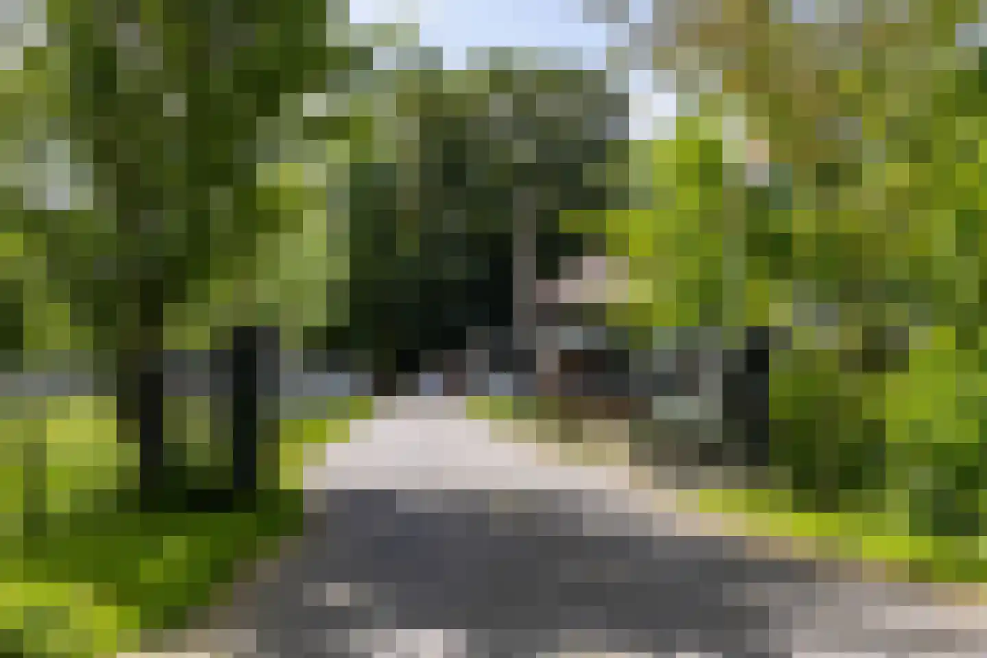 Akeleiweg 134 Groningen thumbnail 65