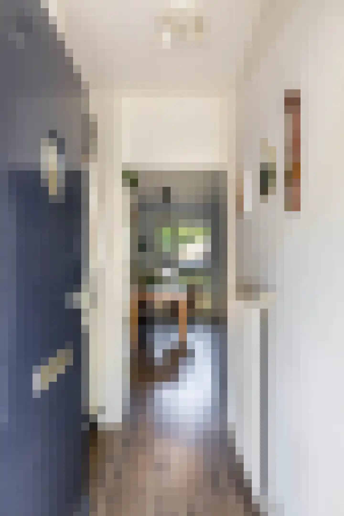 Akeleiweg 134 Groningen thumbnail 9