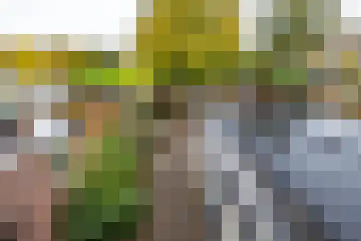 Akeleiweg 142 Groningen thumbnail 31