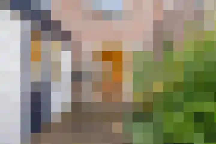 Akeleiweg 142 Groningen thumbnail 32