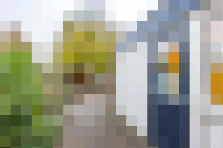 Akeleiweg 142 Groningen thumbnail 33