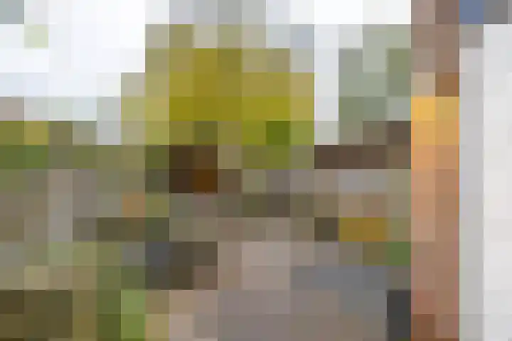 Akeleiweg 142 Groningen thumbnail 34