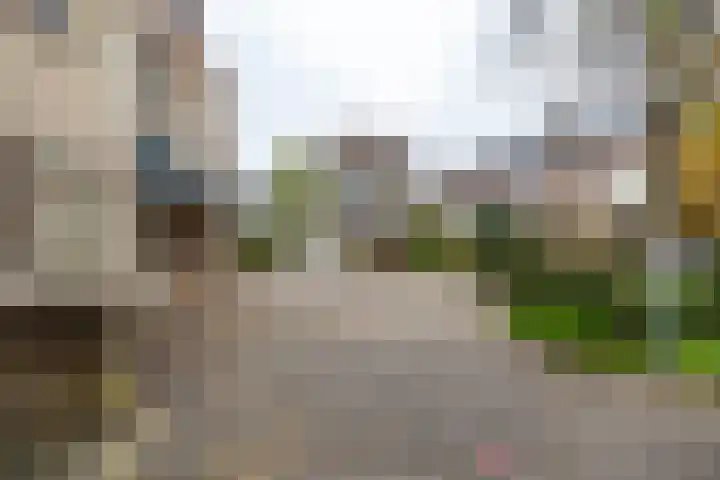 Akeleiweg 142 Groningen thumbnail 37