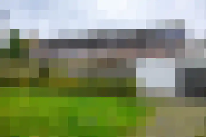 Akeleiweg 142 Groningen thumbnail 38