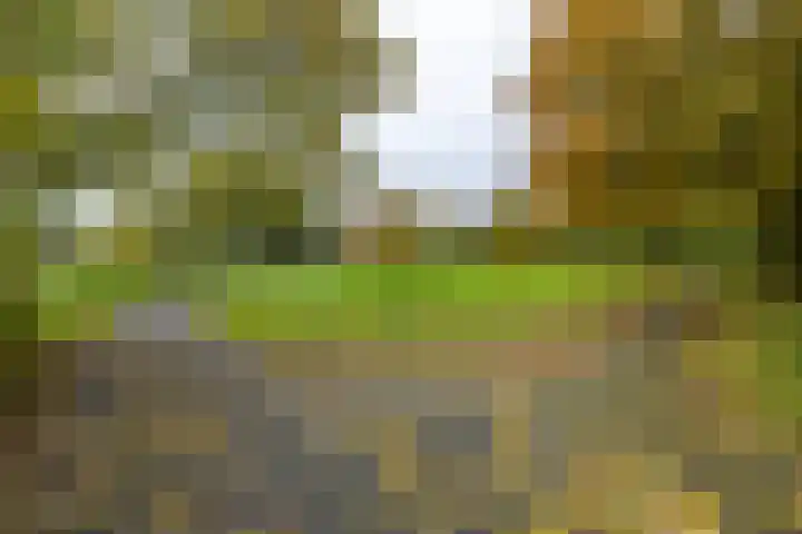 Akeleiweg 142 Groningen thumbnail 39