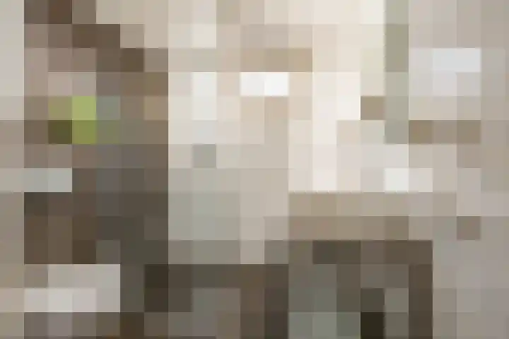 Akeleiweg 142 Groningen thumbnail 4