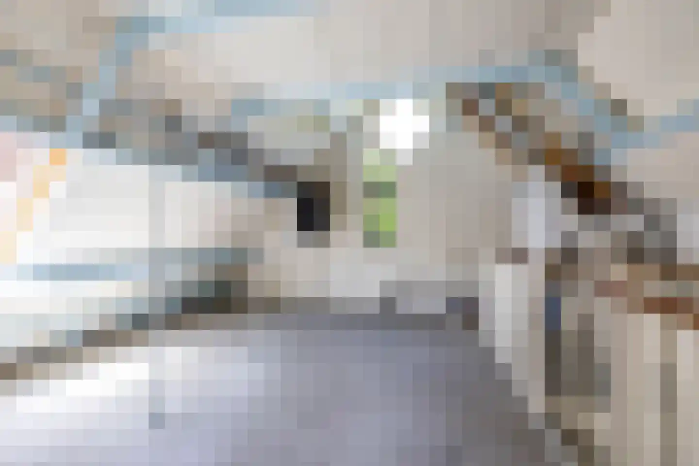 Akeleiweg 152 Groningen thumbnail 23