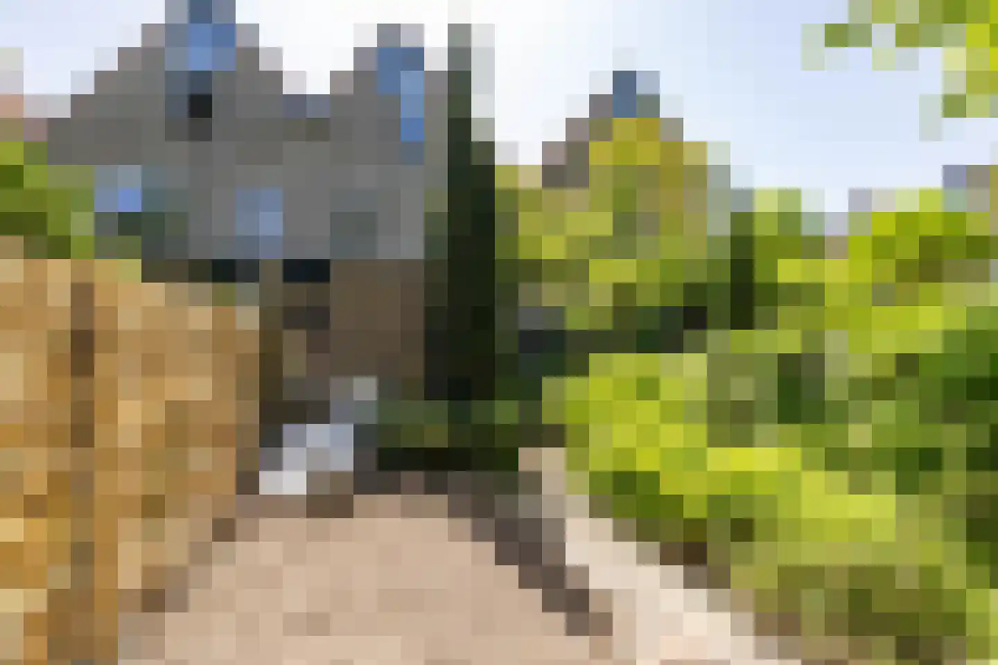 Akeleiweg 152 Groningen thumbnail 28