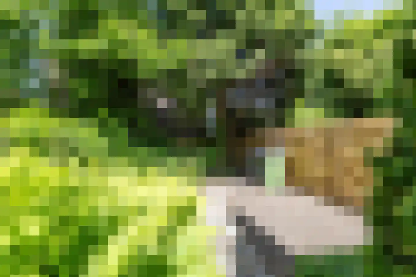 Akeleiweg 152 Groningen thumbnail 29