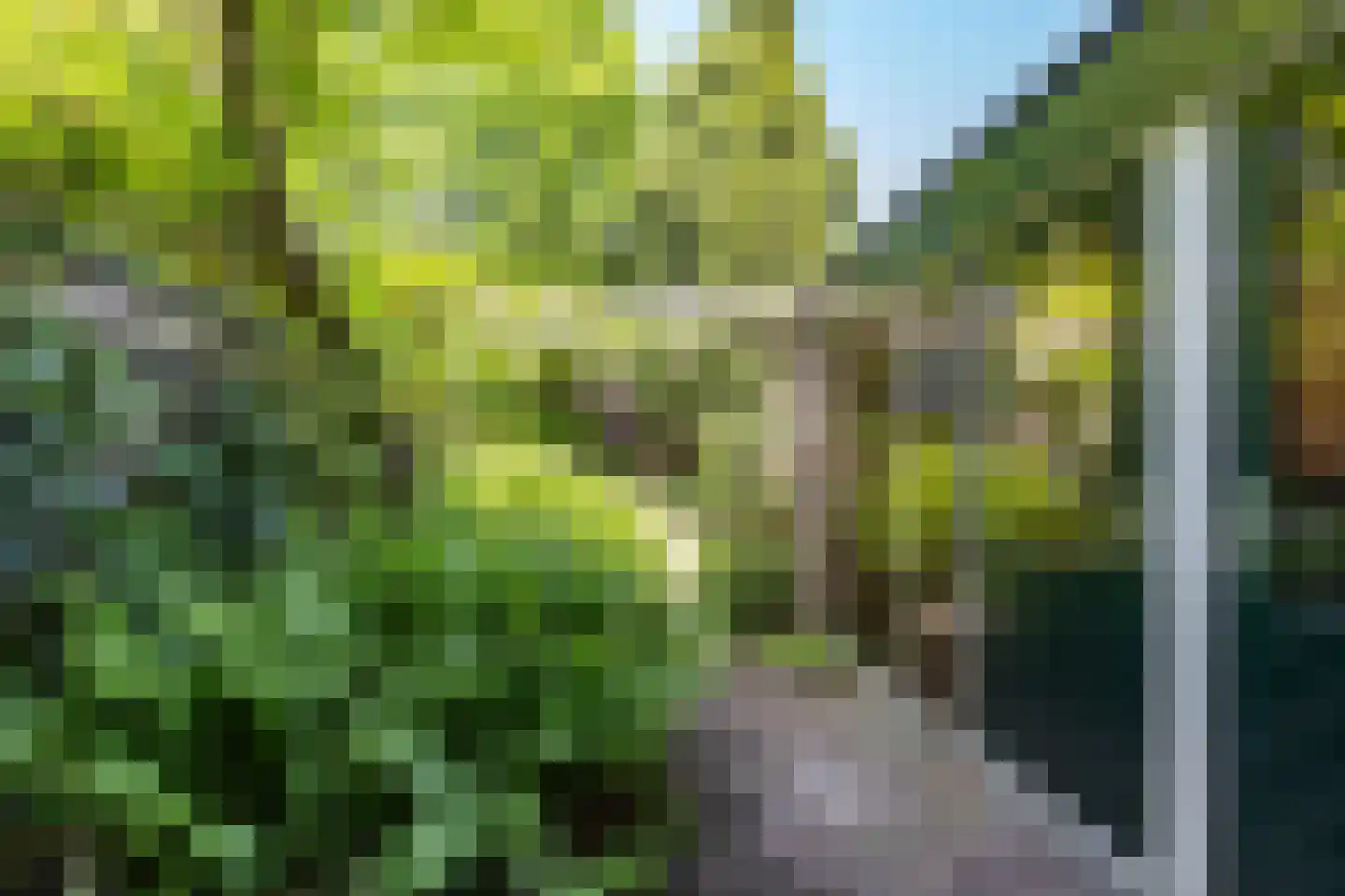 Akeleiweg 152 Groningen thumbnail 30
