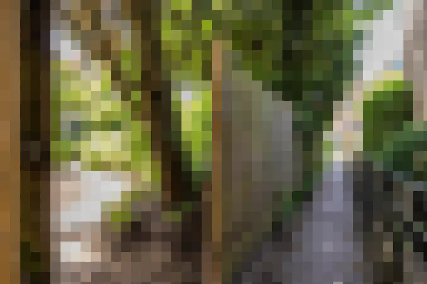 Akeleiweg 152 Groningen thumbnail 32