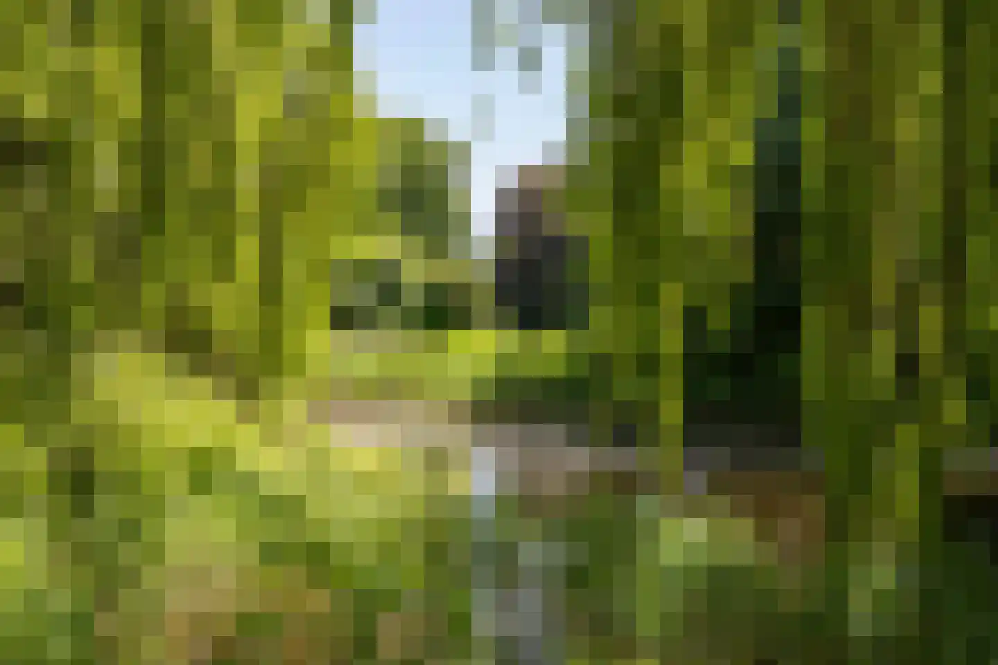 Akeleiweg 152 Groningen thumbnail 34