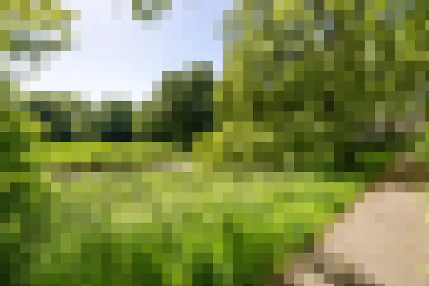 Akeleiweg 152 Groningen thumbnail 35