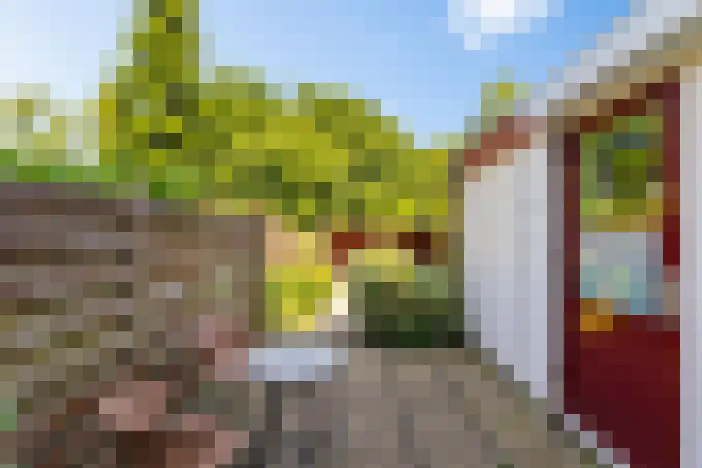 Akeleiweg 168 Groningen thumbnail 31