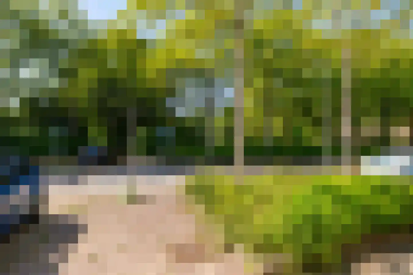 Akeleiweg 168 Groningen thumbnail 32