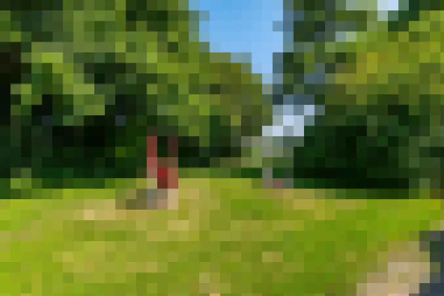 Akeleiweg 168 Groningen thumbnail 35