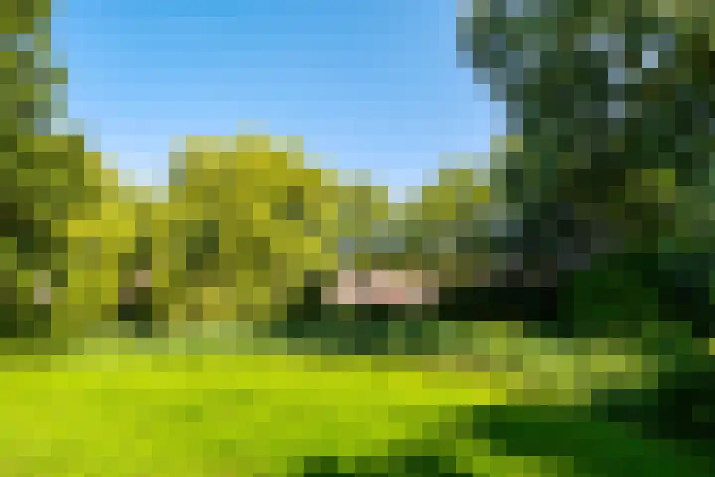 Akeleiweg 168 Groningen thumbnail 36