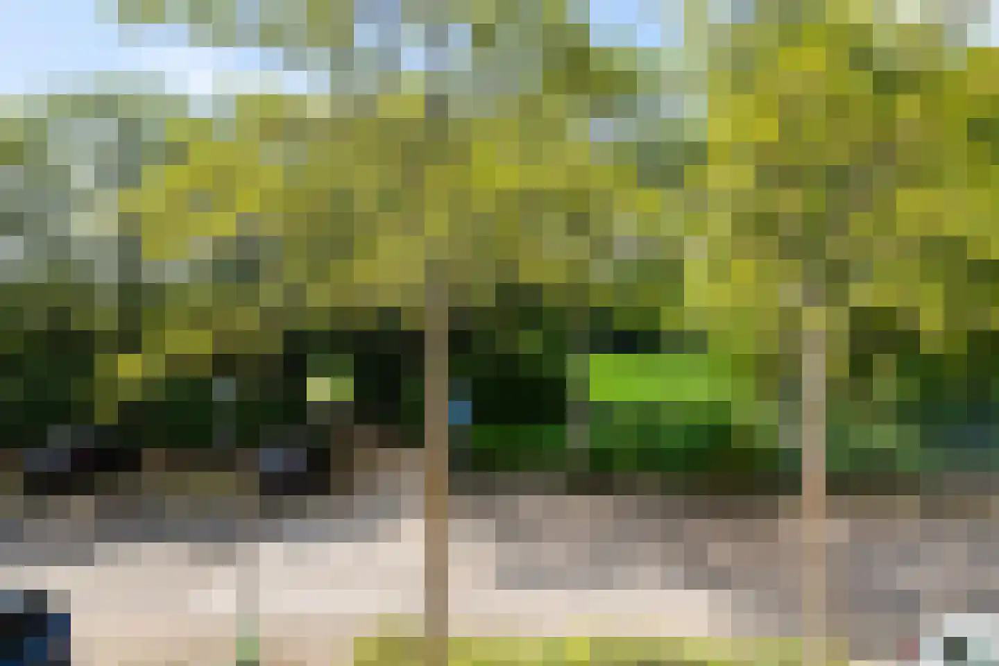 Akeleiweg 168 Groningen thumbnail 37