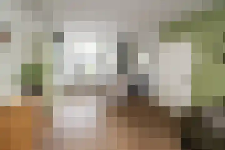 Akeleiweg 22 Zwolle thumbnail 4