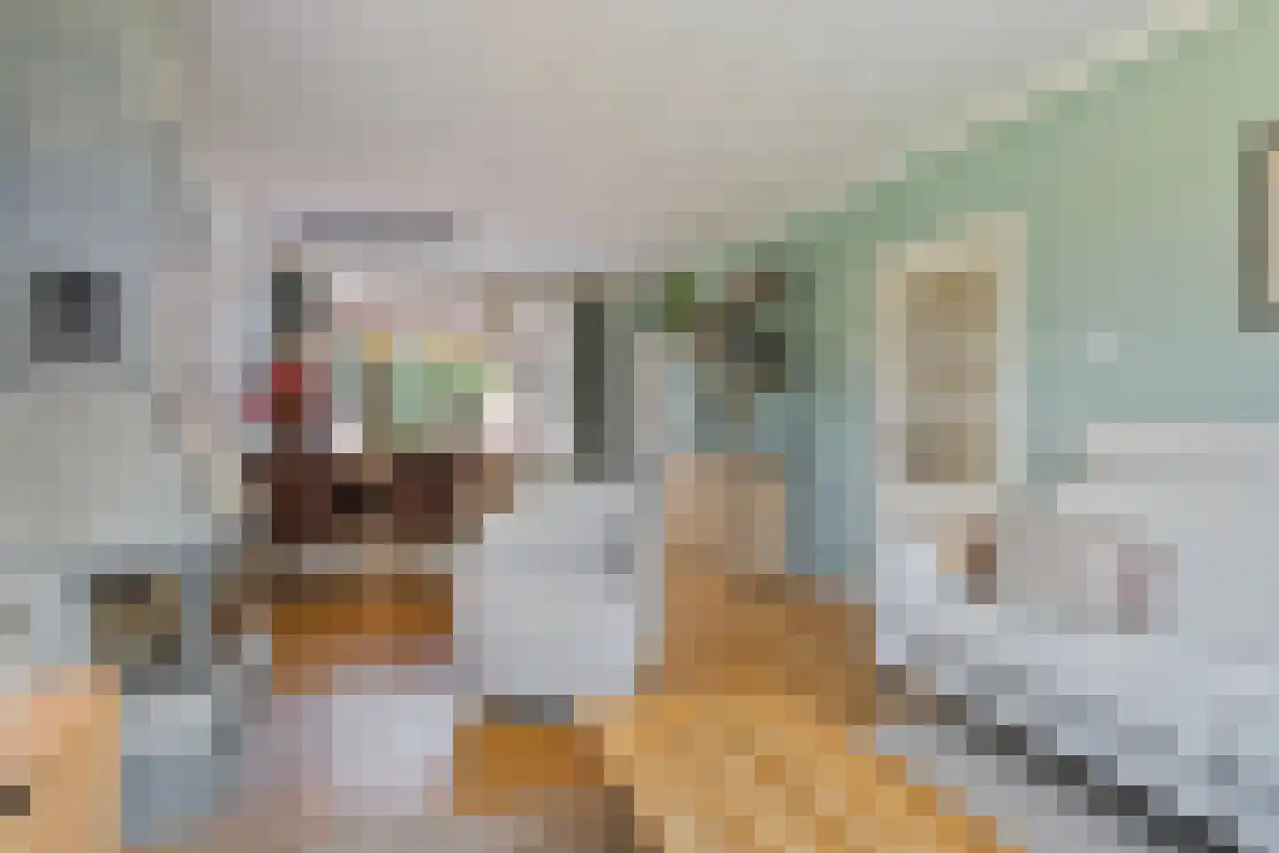 Akeleiweg 26 Zwolle thumbnail 4