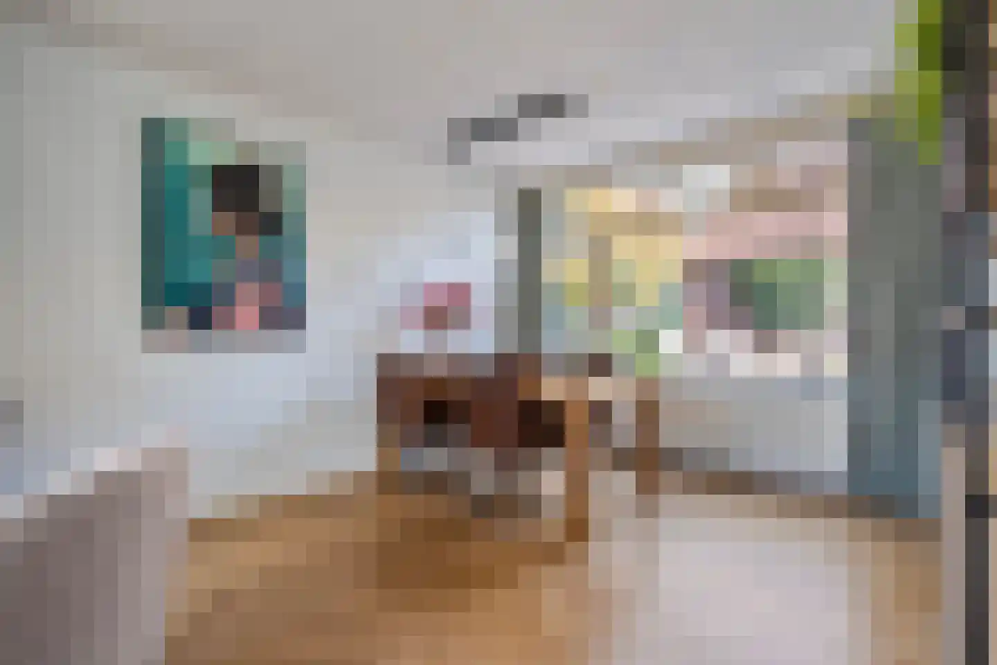 Akeleiweg 26 Zwolle thumbnail 7