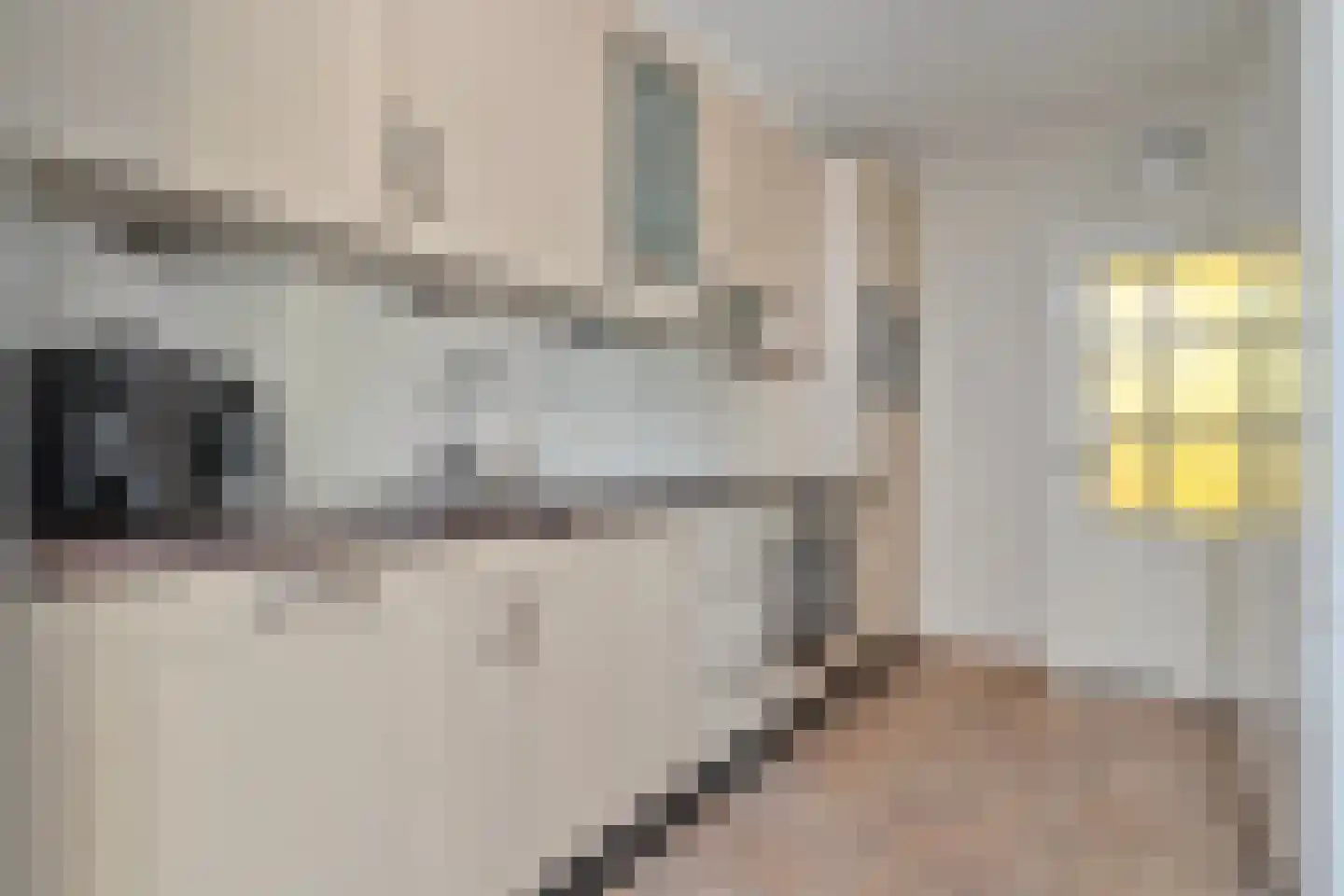 Akeleiweg 26 Zwolle thumbnail 9