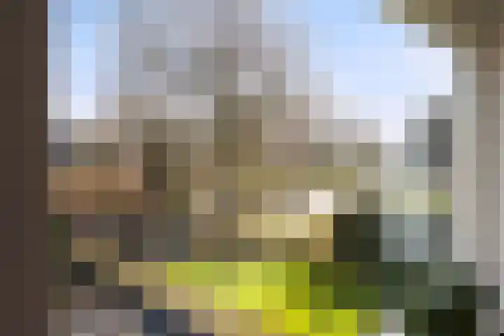 Akeleiweg 4 Zwolle thumbnail 15