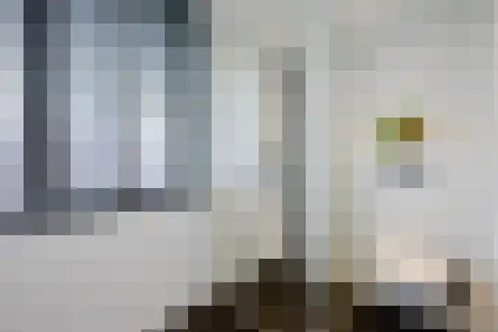 Akeleiweg 4 Zwolle thumbnail 22