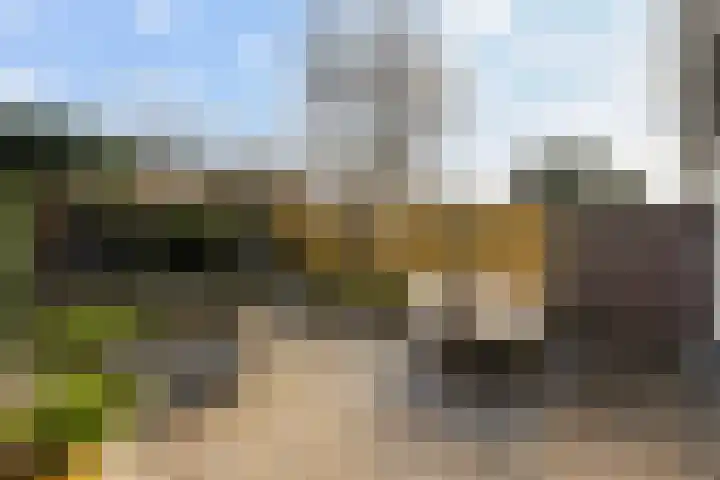 Akeleiweg 4 Zwolle thumbnail 26