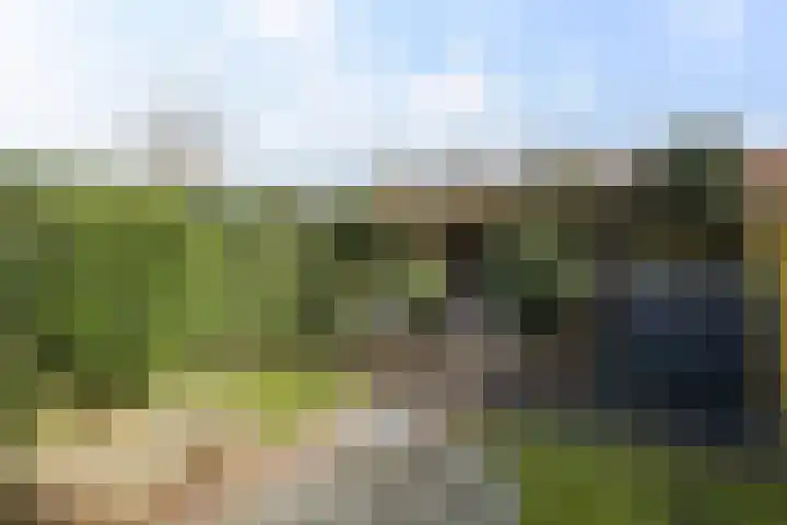 Akeleiweg 4 Zwolle thumbnail 28