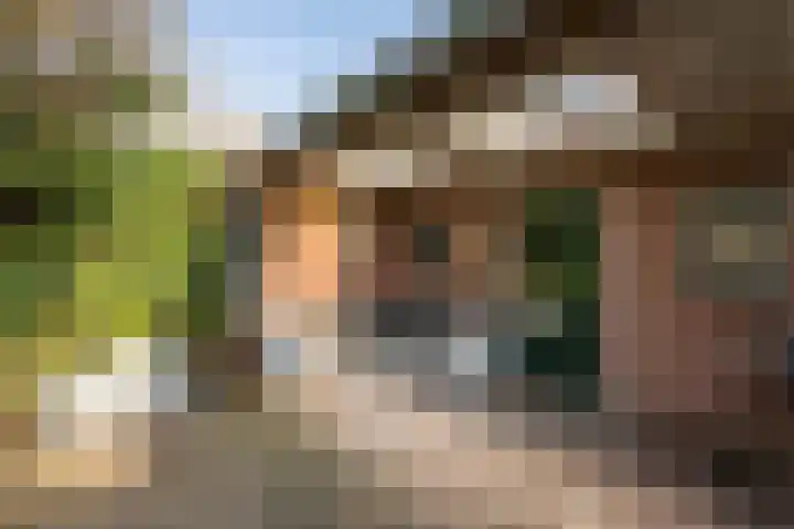 Akeleiweg 4 Zwolle thumbnail 29