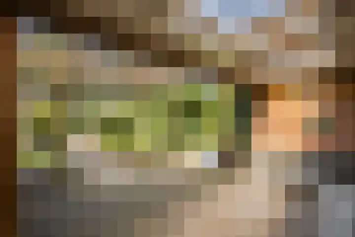Akeleiweg 4 Zwolle thumbnail 30